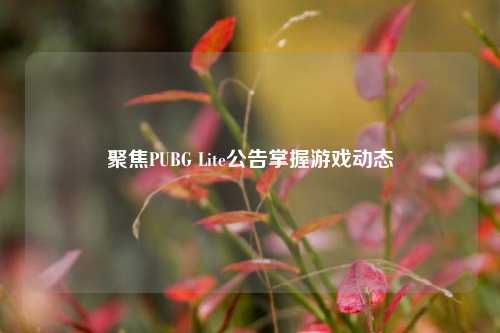 聚焦PUBG Lite公告掌握游戏动态