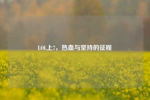 LOL上7,热血与坚持的征程