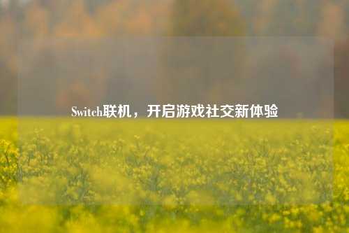 Switch联机，开启游戏社交新体验