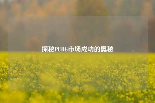 探秘PUBG市场成功的奥秘