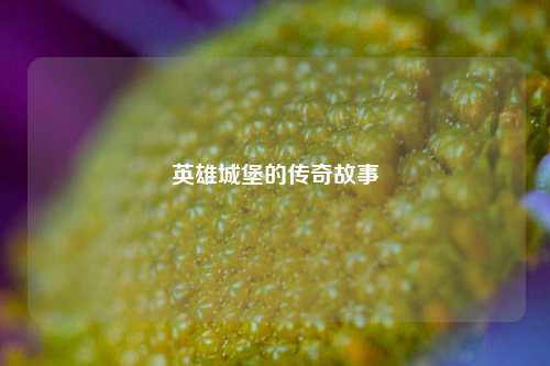 英雄城堡的传奇故事