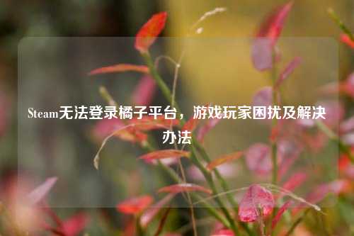 Steam无法登录橘子平台，游戏玩家困扰及解决办法