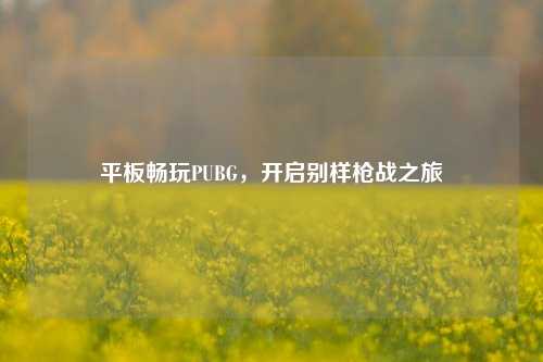 平板畅玩PUBG，开启别样枪战之旅