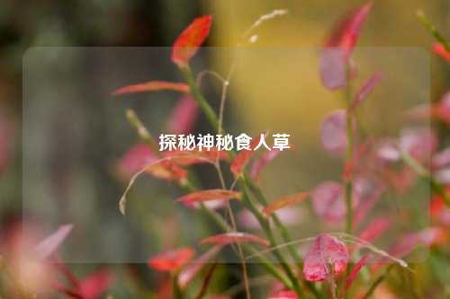探秘神秘食人草