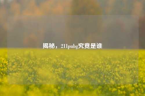 揭秘,211pubg究竟是谁
