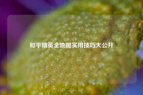 和平精英全地图实用技巧大公开