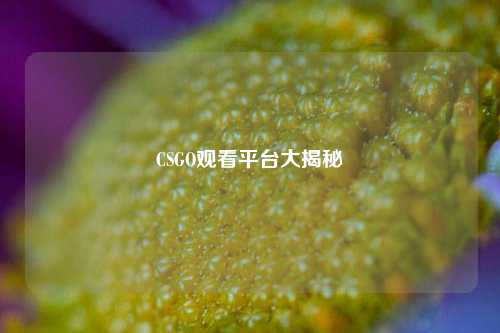 CSGO观看平台大揭秘