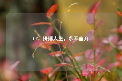 CF,拼搏人生,永不言弃