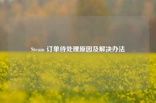 Steam 订单待处理原因及解决办法