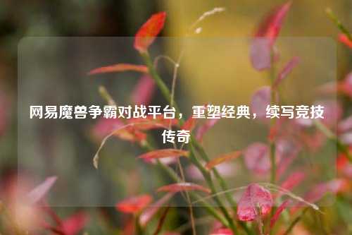 网易魔兽争霸对战平台，重塑经典，续写竞技传奇
