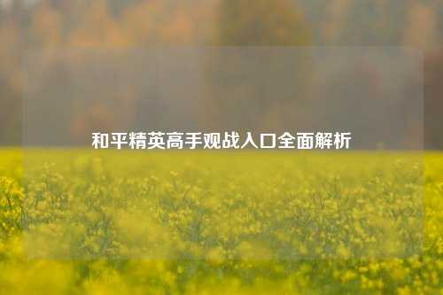 和平精英高手观战入口全面解析