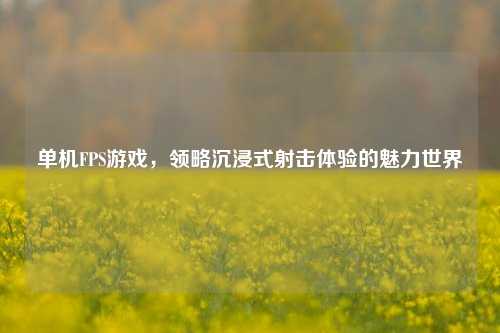 单机FPS游戏，领略沉浸式射击体验的魅力世界