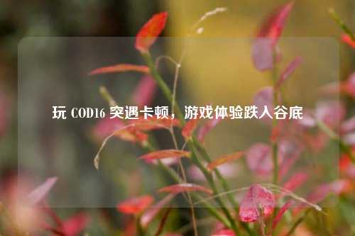 玩 COD16 突遇卡顿，游戏体验跌入谷底