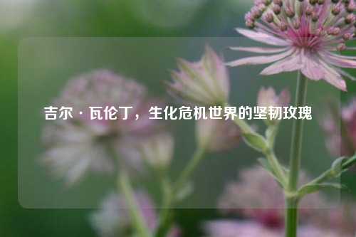 吉尔·瓦伦丁，生化危机世界的坚韧玫瑰