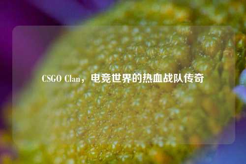CSGO Clan,电竞世界的热血战队传奇