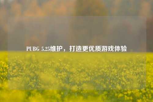 PUBG 5.25维护，打造更优质游戏体验