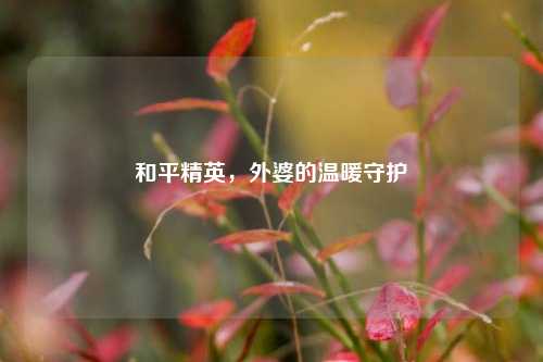 和平精英，外婆的温暖守护