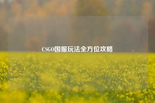 CSGO国服玩法全方位攻略