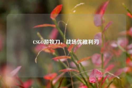 CSGO游牧刀，战场优雅利刃