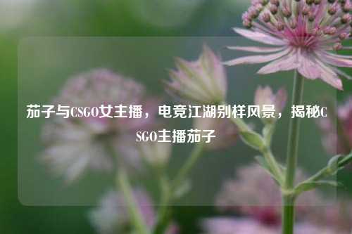 茄子与CSGO女主播,电竞江湖别样风景,揭秘CSGO主播茄子