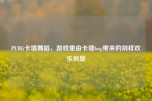 PUBG卡墙舞蹈,游戏里由卡墙bug带来的别样欢乐风景