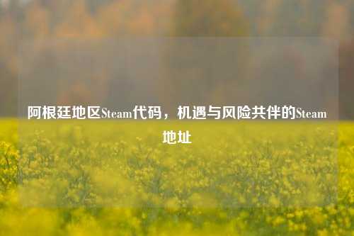 阿根廷地区Steam代码,机遇与风险共伴的Steam地址