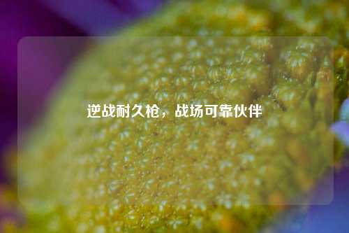 逆战耐久枪，战场可靠伙伴