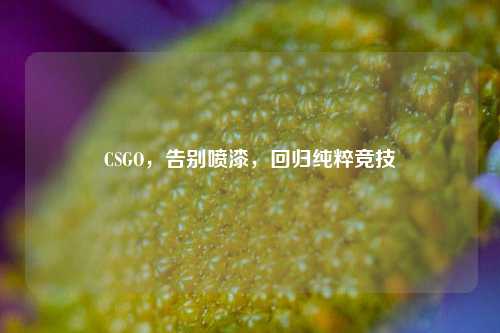 CSGO,告别喷漆,回归纯粹竞技