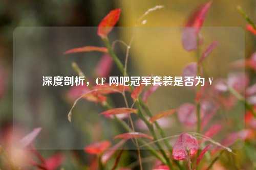 深度剖析,CF 网吧冠军套装是否为 V