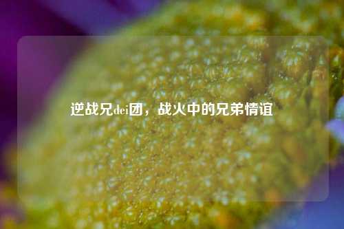 逆战兄dei团，战火中的兄弟情谊