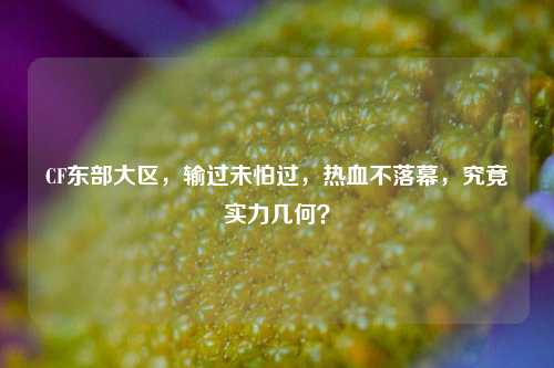 CF东部大区,输过未怕过,热血不落幕,究竟实力几何?