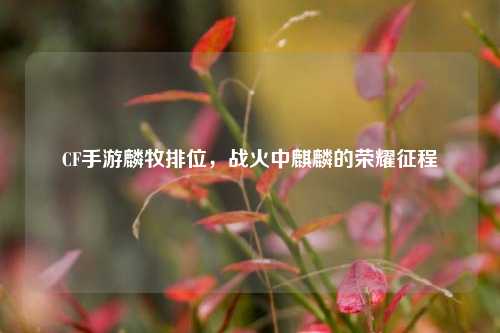 CF手游麟牧排位，战火中麒麟的荣耀征程