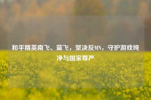 和平精英南飞、蓝飞,坚决反MN,守护游戏纯净与国家尊严