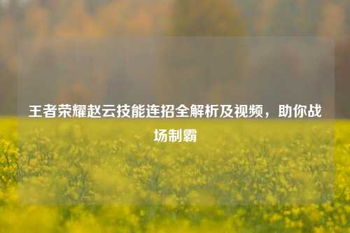 王者荣耀赵云技能连招全解析及视频,助你战场制霸