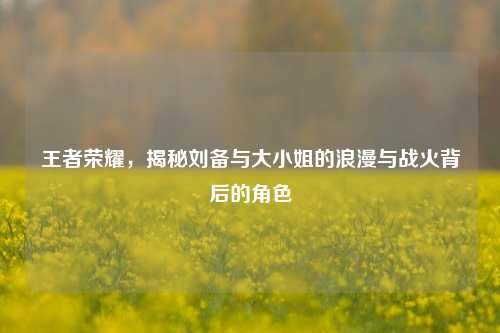 王者荣耀,揭秘刘备与大小姐的浪漫与战火背后的角色