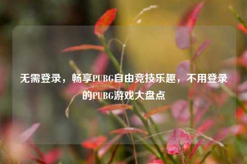无需登录，畅享PUBG自由竞技乐趣，不用登录的PUBG游戏大盘点