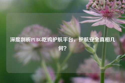 深度剖析PUBG吃鸡护航平台,护航安全真相几何?