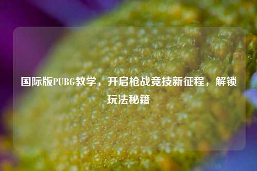 国际版PUBG教学，开启枪战竞技新征程，解锁玩法秘籍