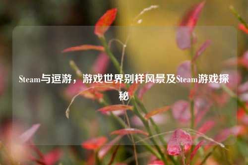 Steam与逗游，游戏世界别样风景及Steam游戏探秘