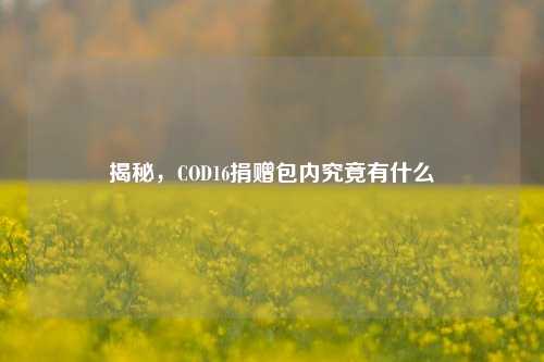 揭秘,COD16捐赠包内究竟有什么
