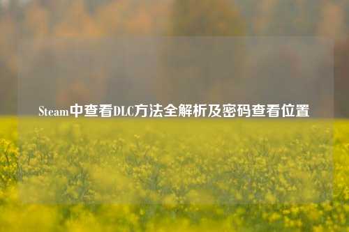 Steam中查看DLC方法全解析及密码查看位置
