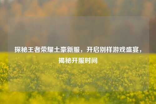 探秘王者荣耀土豪新服,开启别样游戏盛宴,揭秘开服时间