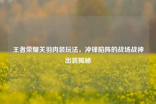 王者荣耀关羽肉装玩法,冲锋陷阵的战场战神出装揭秘