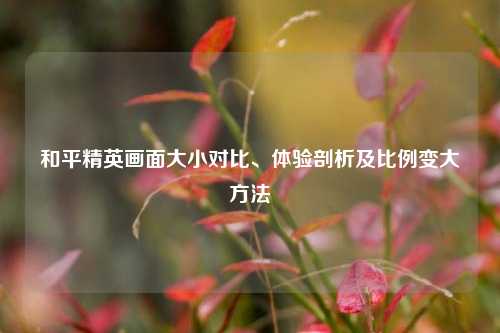 和平精英画面大小对比、体验剖析及比例变大方法