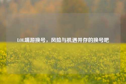 LOL端游换号，风险与机遇并存的换号吧