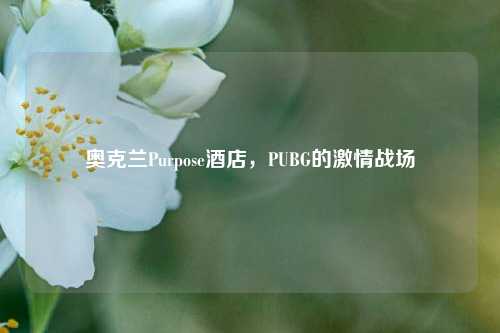 奥克兰Purpose酒店，PUBG的激情战场