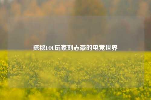 探秘LOL玩家刘志豪的电竞世界
