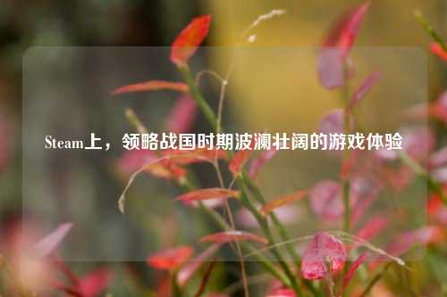 Steam上，领略战国时期波澜壮阔的游戏体验
