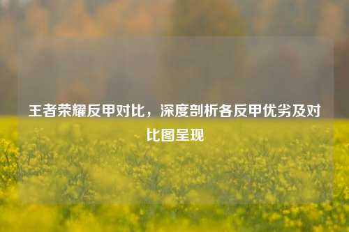 王者荣耀反甲对比,深度剖析各反甲优劣及对比图呈现