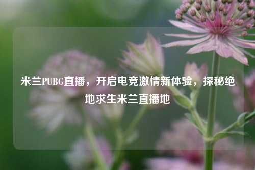米兰PUBG直播，开启电竞激情新体验，探秘绝地求生米兰直播地